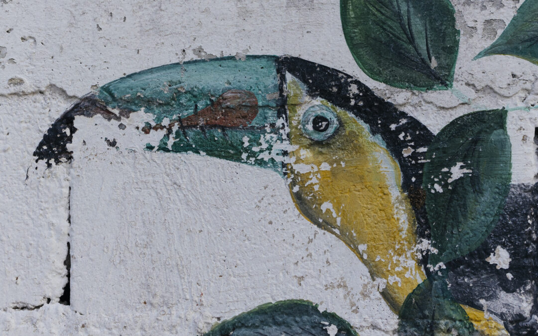 Breathe the art outdoors: Murals in Holbox