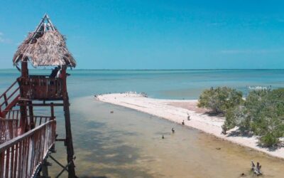 Holbox o Isla Blanca: Comparativa de Bellezas Naturales del Caribe Mexicano