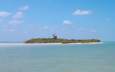 Playas Vírgenes de Isla Holbox: Disfruta de la Naturaleza en su Estado Puro