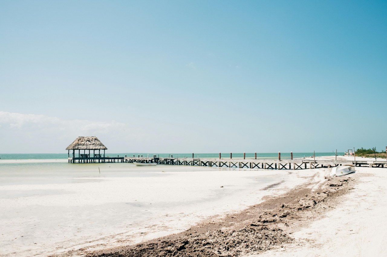 Descubre la increíble fauna marina de Holbox con nuestra Guía para Bucear y Hacer Snorkel. ¡Sumérgete en aventuras inolvidables hoy!